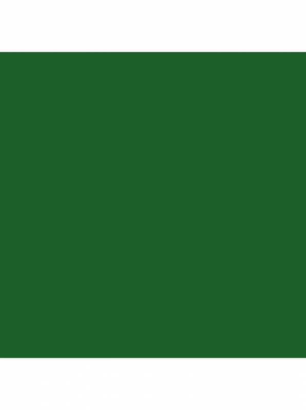 RAL 6002 - Laubgrün / Polyester